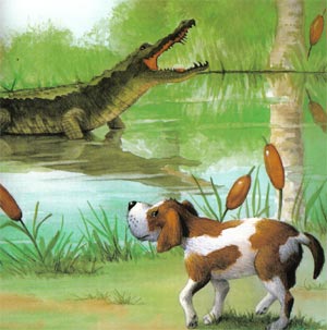 Animale Câinele si crocodilul modul de viata si caracteristicile lui animal .com .ro