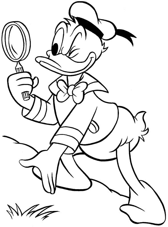 Donald - ratoiul